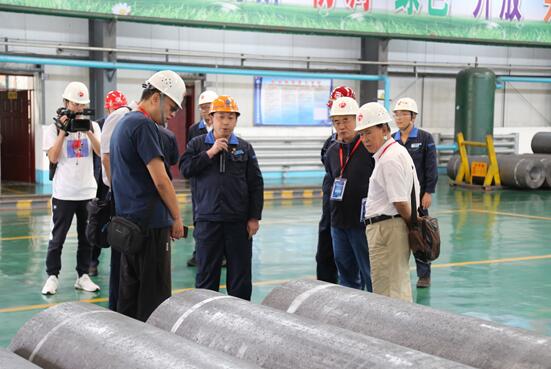 “我是股东”甘肃行—中小投资者走进莫高股份和方大炭素