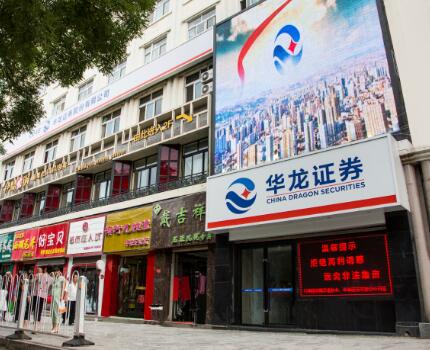 2013年8月华龙证券平凉分公司成立，与平凉西大街营业部合署办公。地址位于平凉市崆峒区西大街117号，西临平凉市人民政府，东临人民银行平凉市中心支行。下辖平凉西大街营业部、平凉崆峒东路营业部、静宁西环