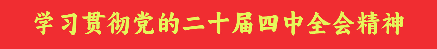 学习贯彻党的二十届四中全会精神