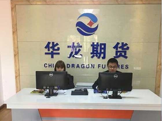 华龙期货股份有限公司(以下简称华龙期货),注册资本5亿元人民币。公司成立于1992年11月，是中国最早成立的期货公司之一,也是目前唯一一家本省期货公司。公司经中国证监会批准成立，是上海、郑州、大连、中