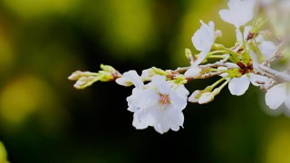 “投资中国?助力梦想”春季投资策略报告会