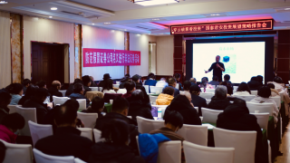 打击违法犯罪，防范洗钱风险