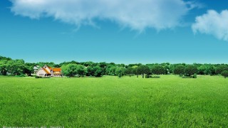 在打非防非行动中的责任与担当