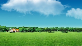 远离金钱的诱惑