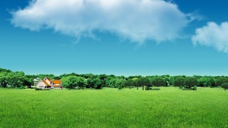 国泰君安证券兰州酒泉路营业部开展防范非法集资宣传月主题活动