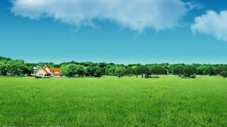 投资者话题之远离非法荐股