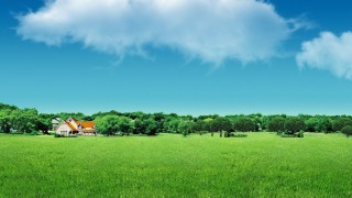 “廉洁国投”心得体会