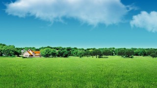 一切从投资者角度出发