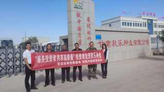 践行金融教育宣传月成果，扎实推进金融为民办实事 ——华龙证券张掖丹霞路营业部组织投资者走进秋乐种业