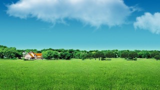 国泰君安证券庆阳安定东路营业部 “2024年世界投资者周”活动宣传