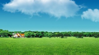 投教服务再出发