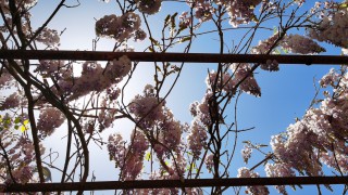 国泰海通证券敦煌党河东路营业部 开展六一儿童节财商教育活动