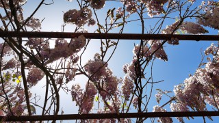 寓教于乐启财商?童趣六一筑未来 ——国泰海通证券兰州酒泉路营业部开展六一儿童节财商教育主题活动