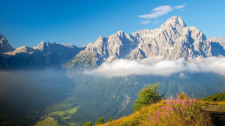 深耕“6·14信用记录关爱日”——国泰海通证券兰州庆阳路营业部创新宣教模式助力社会信用体系建设